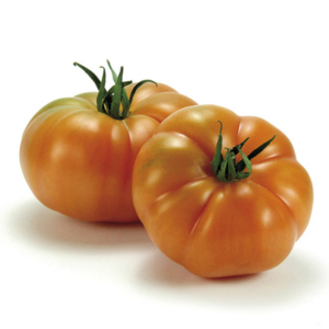 TOMAQUET VERD / AMANIR - KG